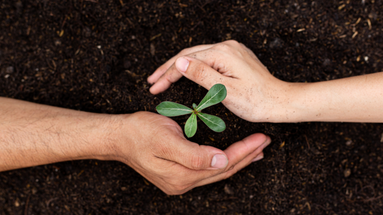 Knowledge is Power: 5 Essential Insights into Israel's Path to Healing