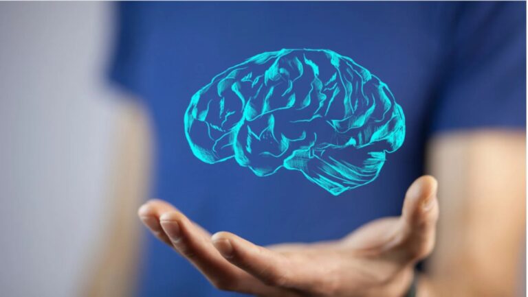 Image of a doctor holding a 3D brain
