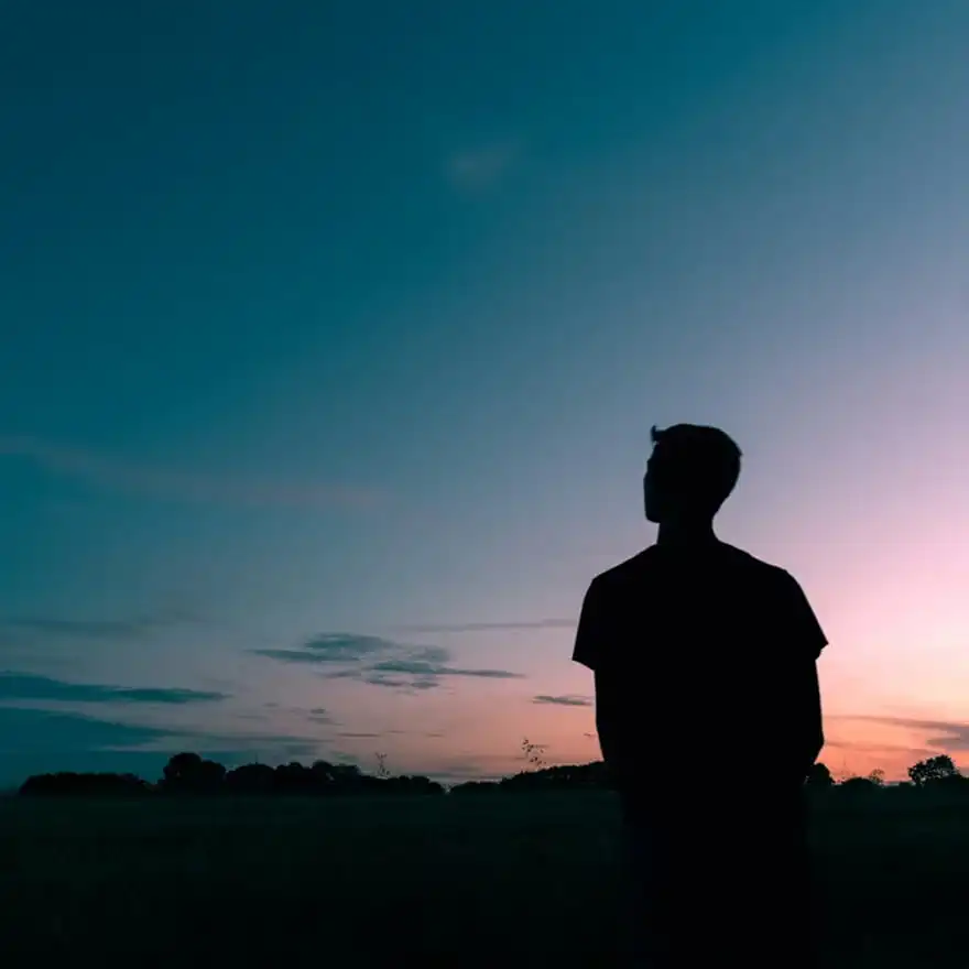 Silhouette of a person looking at a twilight sky